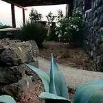 Dammusielenas *